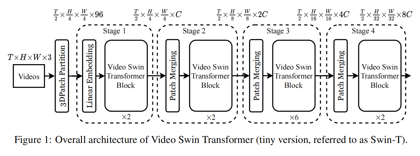 Video Swin Transformer