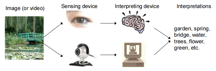 计算机视觉与人类视觉